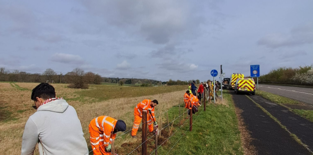 Tree planting