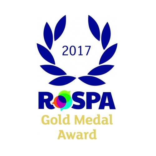 Gold medal index visual.jpg