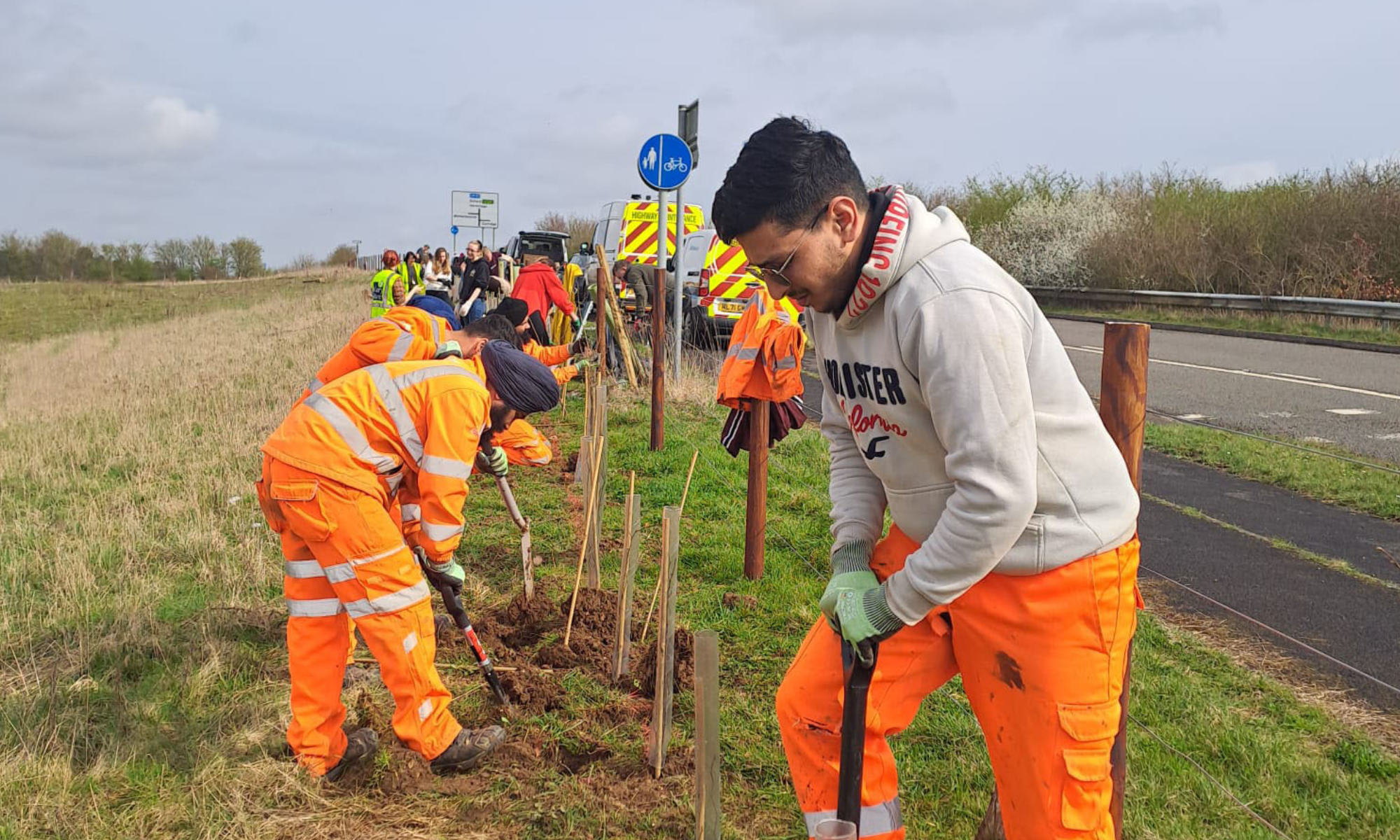 Tree planting