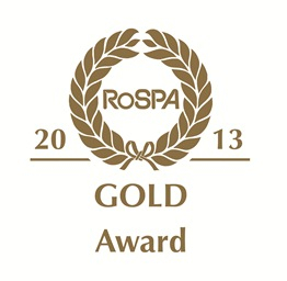 gold award 2013 logo low res.jpg